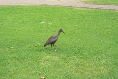 0046-Reis Zuid-Afrika2007
